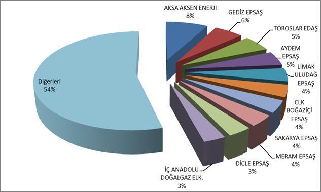 Miktarlarının Şirket Bazında Dağılımı ve İlk 10 Şirketin Payı 4