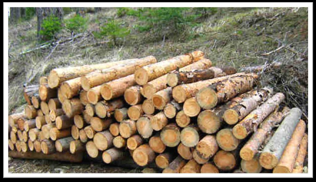 Nelerden Pellet Yapılır? Her türlü bitkisel ve odunsu artıktan pellet yakıt üretilebilir. Kullanılabilecek orman ürünlerinin kalori değerleri aşağıda verilmiştir.