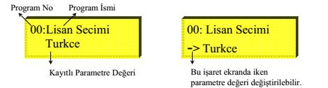 PROGRAMLAMA (Ver:1.01) MLDOORPLUS kartının programına giriş için önce, ENTER butonuna basılarak Revizyon moduna alınır. Bu konumda iken tekrar ENTER butonuna basılı tutularak programlama başlatılır.