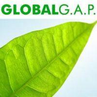 GLOBALGAP(EUREPGAP), üretici kuruluşun ürününün güvenilir olduğunu, kalitesini ve değerini yükseltir.