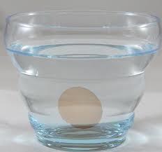 * Düz takla atma FEN VE DOĞA ÇALIŞMALARI DENEY Deneyin adı:yüzen yumurta deneyi Deneyin amacı:tuzlu suyun yoğunluğu Deneyde kullanılan araç gereçler:büyük bir cam bardak,su tükenmez
