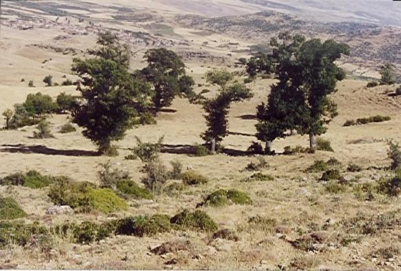 Hassas Ekosistemlerde Sahaların