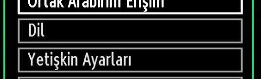 Çıkmak için M tuşuna basınız Ayarlar Menüsü Öğeleri Koşullu Erişim: Mevcut olması halinde koşullu erişim modüllerini kontrol eder. Dil: Dil ayarlarını yapılandırır.