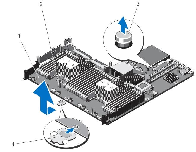 a. mini SAS kablosu konektörü b. metal tırnak c. sistem kartındaki konektör 6. Sistem kartından bütün kabloları çıkarın.