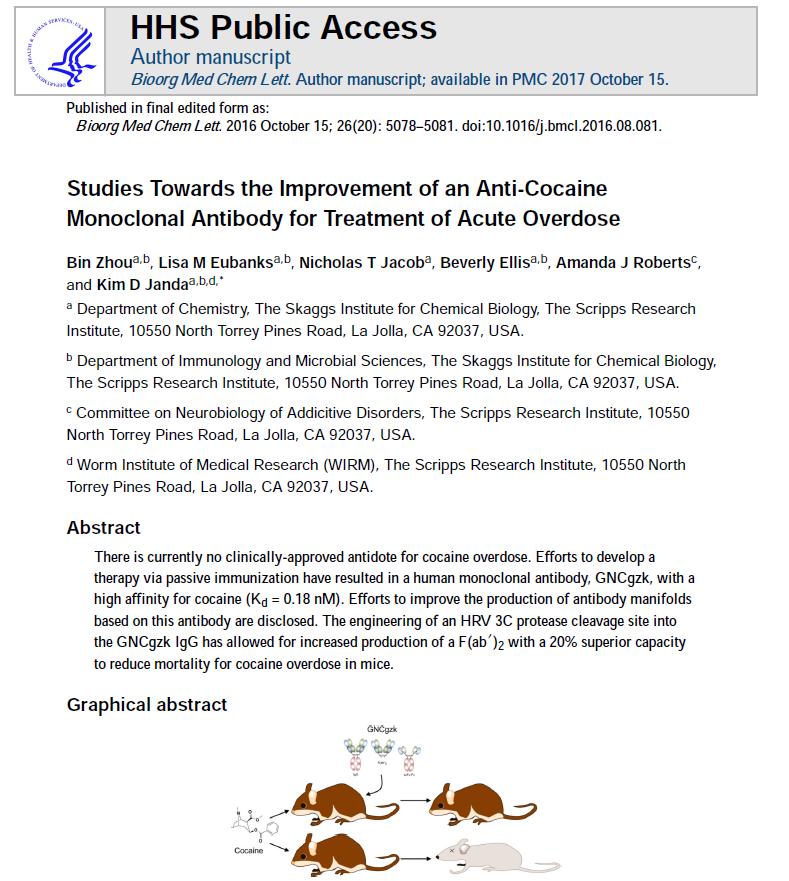 Antikokain monoklonal antikorlar kokain overdozu