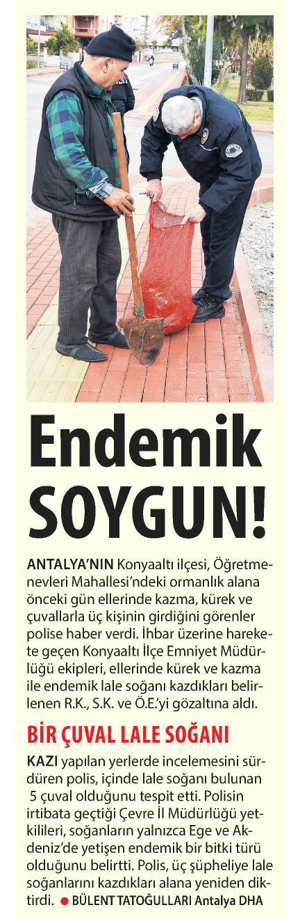 MİLLİYET AKDENİZ Tarih : 19.