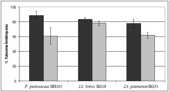 tutunmalarını engelleme ve besin maddeleri için rekabet mekanizmalarıyla açıklanmaktadır (Rastall et al. 2005).