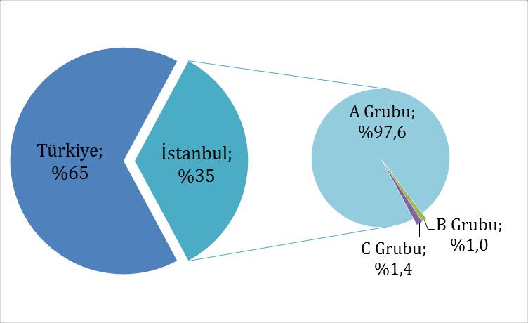 İSTANBUL DAKİ ACENTALAR Turizm Seyahat Acentaları Türkiye (İstanbul hariç diğer iller) A Grubu B Grubu C Grubu Toplam Toplamda Oranı 6051 32 90 6173 % 65 İstanbul 3197 33 45 3275 % 35 TOPLAM 9248 65