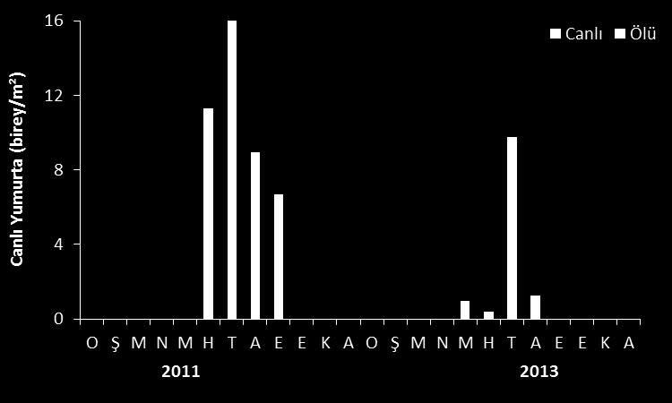 Ġstavrit larvalarının aylık bolluk değerleri 2011 yılının Haziran ve Temmuz aylarında 0.78±0.167 larva/m 2, 2013 yılının Haziran ayında 0.75±0.34 larva/m 2 olarak hesaplanmıģtır (Tablo 8).