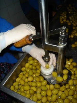 Memecik, Manzanilla ve benzeri zeytinlerin çekirdeklerini çıkarmaya uygun olan bu makineler 8-12