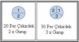 6.4.4.4. Çekirdek