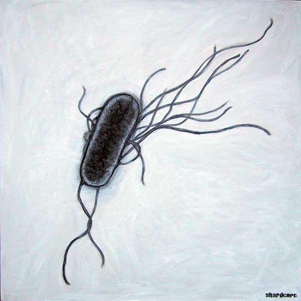 Bakterilerden