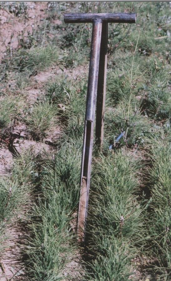 yanından, bir toprak burgusu yardımı ile yaklaşık 20 cm lik derinlikten, 100-150 g civarında toprak örnekleri alınmıştır (Çepel, 1985).