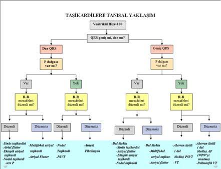 Düzenli Dar Komplex Taşikardiler Sinüs taşikardisi Atrialtaşikardi Atrial flutter (düzenli bloklu) Junctional taşikardi PSVT Ortodromik WPW Düzensiz Dar Komplex Taşikardiler Atriyel fibrilasyon