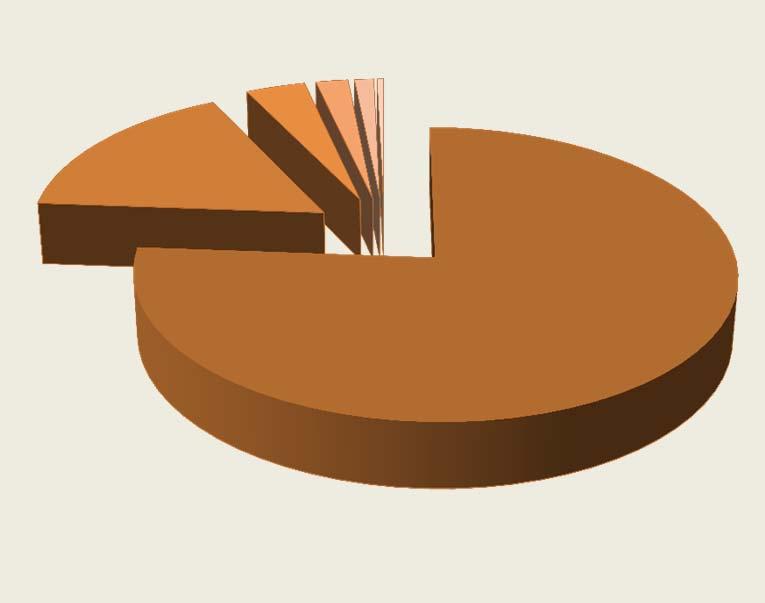 Dünya da, Avrupa da ve Ülkemizde Enerji Rüzgar 4% Hidrolik 17% Biyo Yakıt 2% Güneş 1% Rüzgar 17% Güneş 11% Diğer 3% Petrol 3%