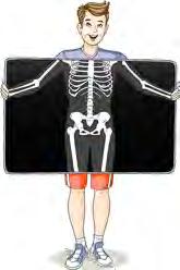 İskeletimiz sert yapılı kemiklerden oluşur. Kemikleri birbirine bağlayan yapıla ra eklem denir.