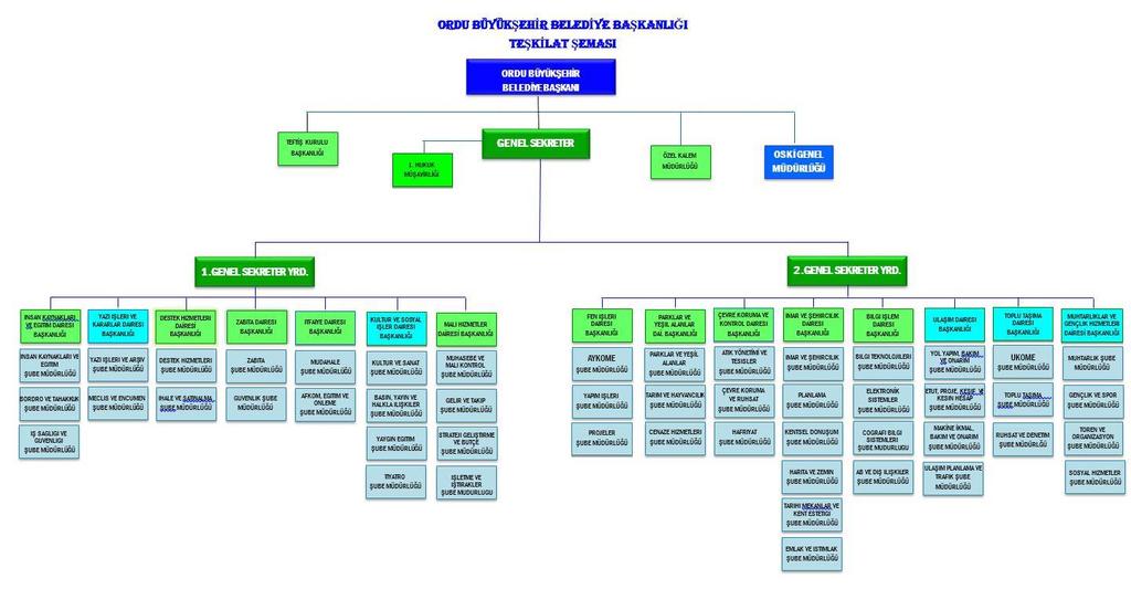 B- Teşkilat Yapısı organizasyon yapısı, aşağıdaki