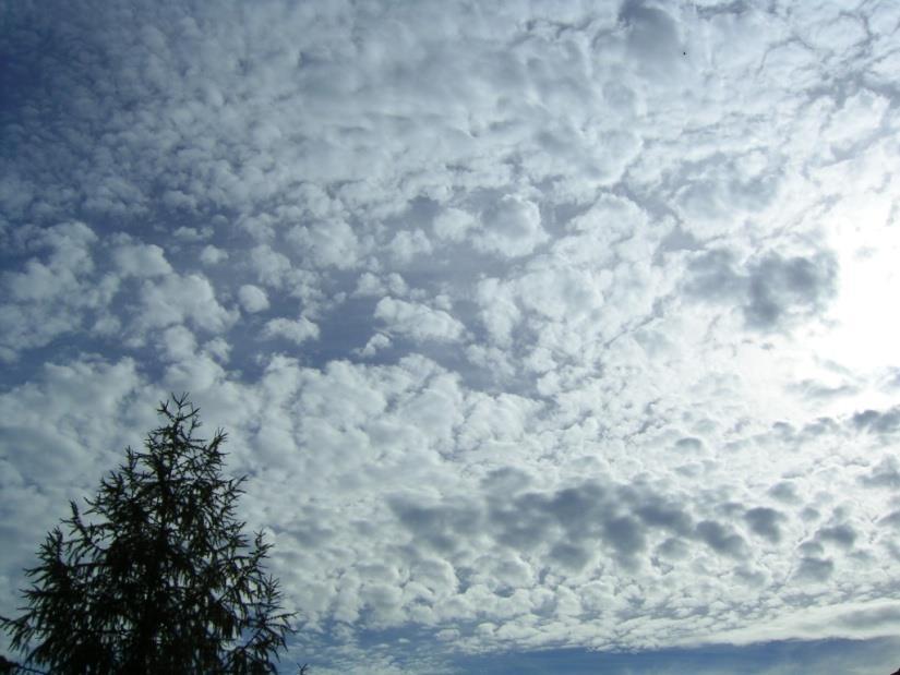 Bu bulutlar eğer tabakalar şeklinde gelişirse ALTOSTRATUS (As), eğer dikine gelişirlerse ALTOCUMULUS (Ac) adını alırlar.