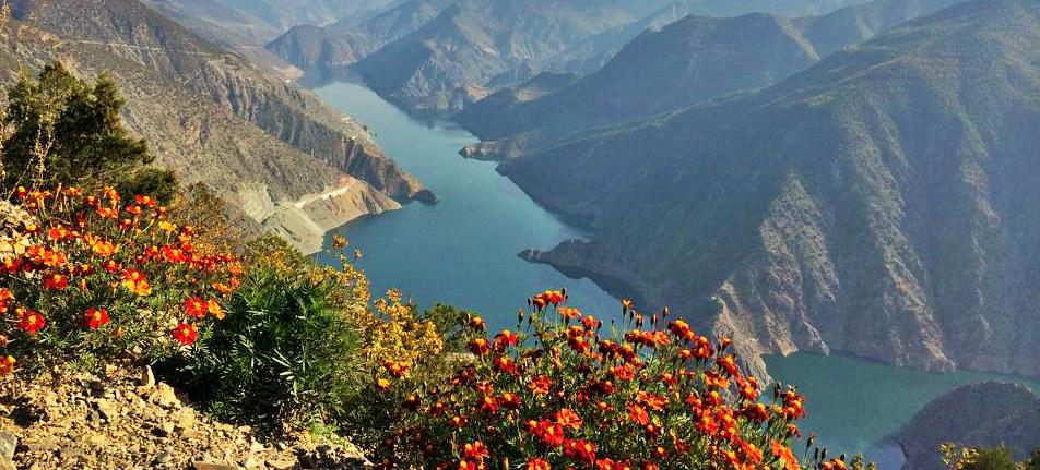 ARTVİN İN DOĞAL BİTKİLERİ Çoruh Vadisi : Çoruh Vadisi Önemli Bitki ve Doğa Alanı; Erzurum un kuzeyindeki Mescit Dağından başlayarak dar ve derin boğazlar şeklinde akan Çoruh Nehri nin 150 km