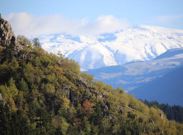 ARTVİN İN DOĞAL BİTKİLERİ Yalnızçam Dağları: Yalnızçam Dağları Önemli Bitki ve Doğa Alanı, Doğu Karadeniz Dağlarının güneydoğusunda ve Karçal Dağlarının hemen güneyinde yer alan en yüksek yeri 3167