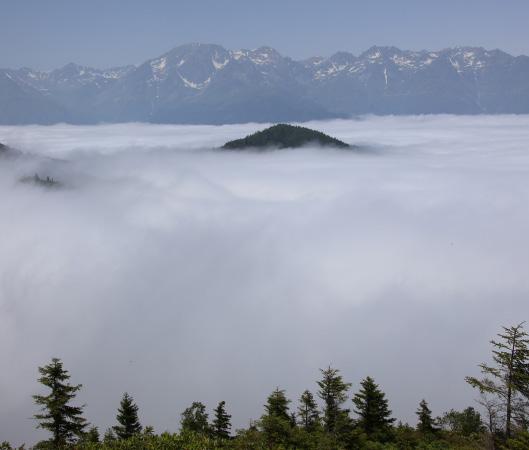 Artvin de Önemli ve Hassas Alanlar Doğu Karadeniz Dağları Artvin Kesimi: Doğu Karadeniz Dağları Önemli Bitki ve Doğa Alanı; Kuzeydoğu Anadolu da, Karadeniz e paralel olarak yaklaşık 250 km uzanan ve