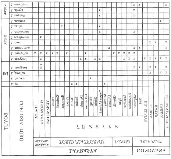 85 Çizelge 2. Table 2. Farklı Loftusia türlerinin plakacıklar üzerindeki paleocografik dağılımları. Paleogeographical distribution of various Loftusia species within the small plates. Çizelge 3.