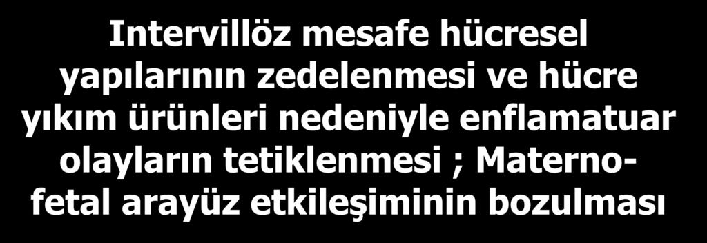 Maternofetal arayüz etkileşiminin bozulması Intrauterine fetal