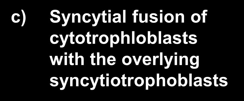 contact with maternal blood The turnover of