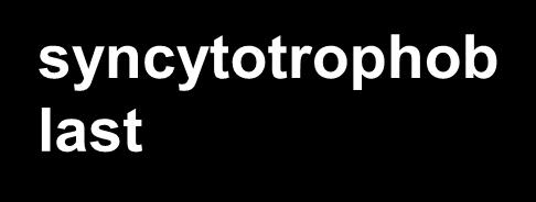 overlying syncytiotrophoblasts Stem