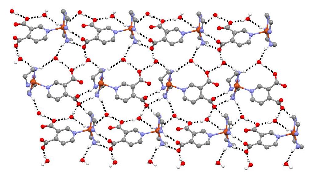 Şekil 8. [Cu(3,4-pydc)(en) 2 ] 2H 2 O (1) üç boyutlu hidrojen bağları Kompleks 2 nin X-ışınları kristal yapısı incelendiğinde monoklinik sistemde ve P2 1 /c uzay grubuna sahip olduğu belirlenmiştir.