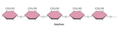 Nişasta: kimyasal yapı Nişasta bir homopolisakkarittir: -D-glukoz polimeri MW: 50.000-1000000 Yapısında iki tür polimer bulunur; 1.