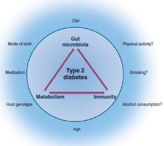 İntestinal mikrobiyota, diyabet ve