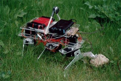 A a ıdaki örnekte 6 bacaklı bir robotun yürüyü ü gösterilmi tir. Kırmızı renkli oklar yere basan bacakları, griler ise havadaki bacakları ve hareket yönlerini göstermektedir.