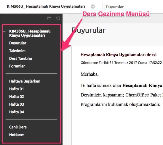 Dersin öğretim üyesi tarafından oluşturulmuş farklı içerikler de bu menüde yer alabilmekle birlikte genel olarak menü öğeleri aşağıdaki içeriklerden