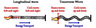 Dalga hareketi Ses dalgaları yayılma doğrultusuna bağlı olarak enine ve boyuna dalgalar olarak sınıflandırılabilir; Boyuna dalgalar titreşimin yayılma doğrultusuna paralel olan dalgalardır.