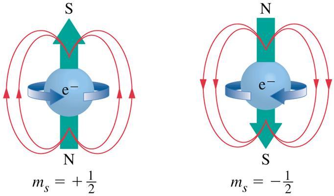 Spin Kuantum sayısı (m s ) Spin hareketi, saatin dönme yönünde ve tersi yönünde olmak