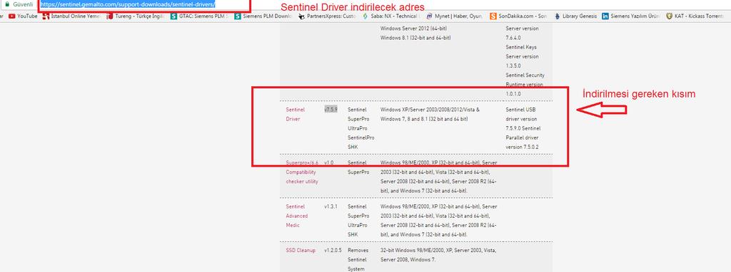 DONGLE LİSANS TANITIMI 5. Lisans dosyasının yerini ortam değişkenlerinde tanıttıktan sonra Dongle sisteminin çalışa bilmesi için «Sentinel Driver v7.5.9» yüklemesi yapılmalı.