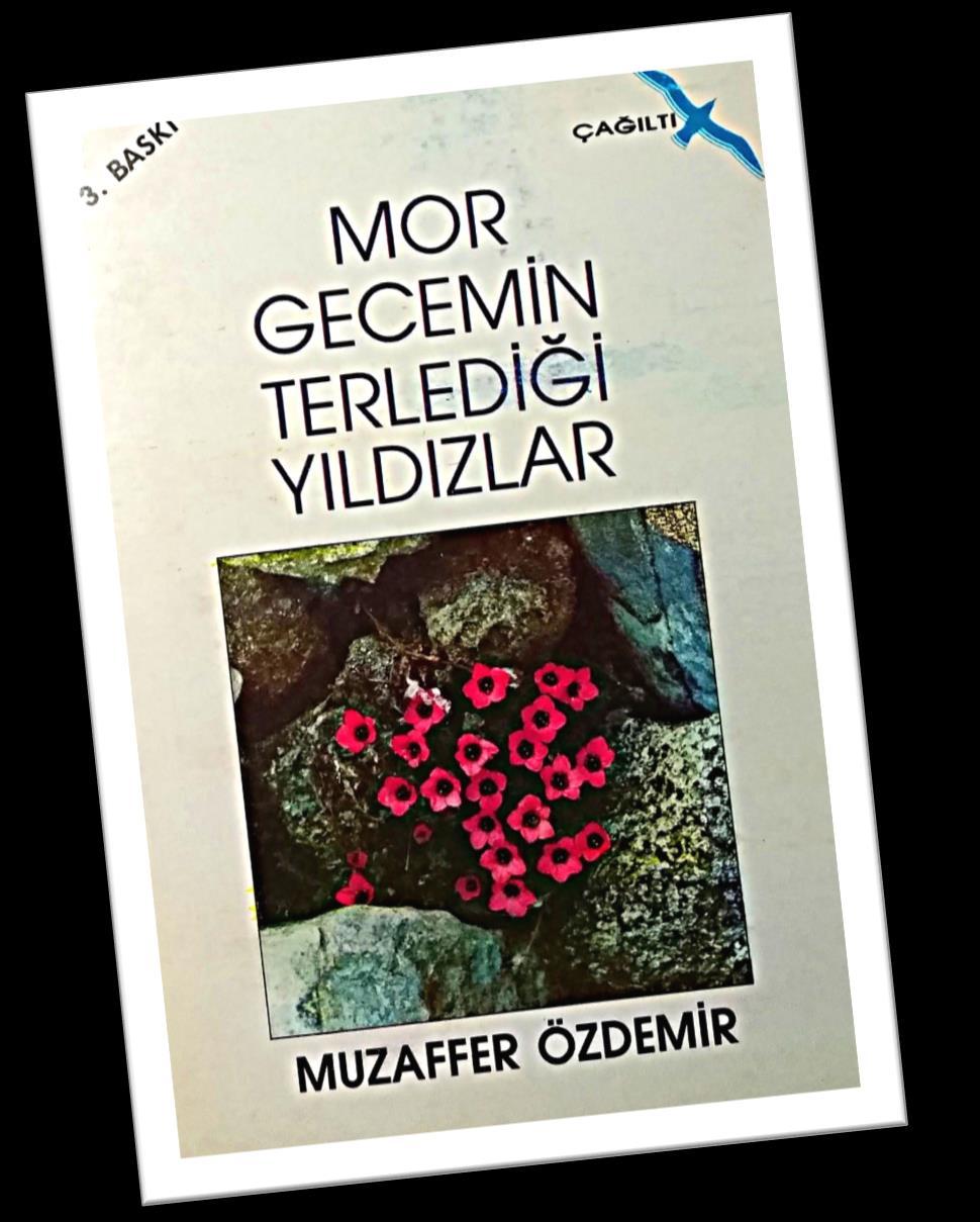 Mor Gecemin Terlediği Yıldızlar Şiir (1987) Çağıltı Yayınevi