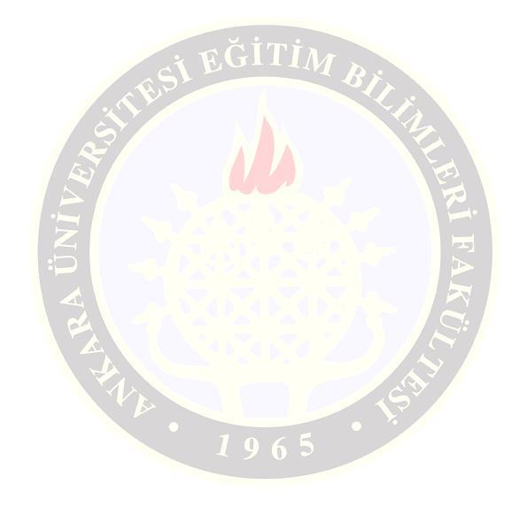 ANKARA ÜNİVERSİTESİ