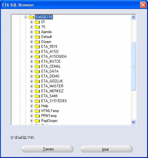 Ekran 8 : ETA SQL Browser ekranı Database leri aktif