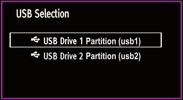 Ayrıca, bir USB cihazı takıldığında ortam tarayıcı ekranı otomatik olarak görüntülenecektir:: / ve OK tuşlarını kullanarak, listeden bir yayın tipi seçeneği seçebilirsiniz.