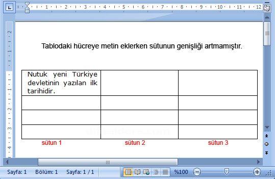 Otomatik sığdır sekmesine aşağıda örnek gösterilmiştir.