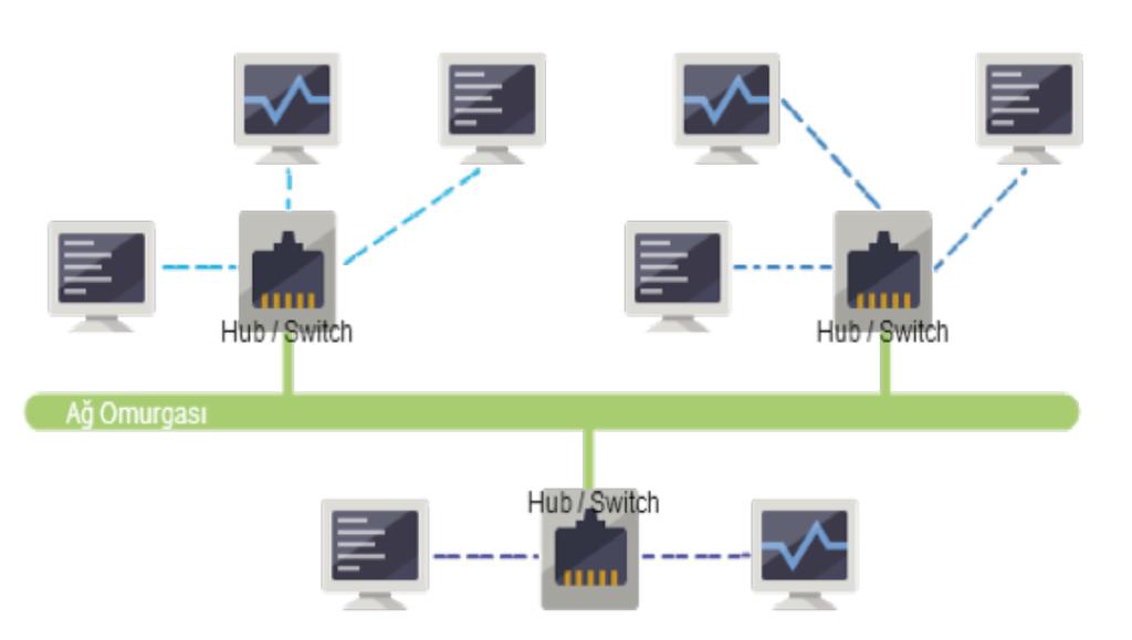 Ağ Türleri (Topolojilerine Göre) Fiziksel Topoloji Ortak yol (Bus) Halka (Ring) Yıldız