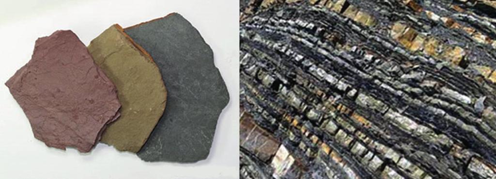 volkanik olsun, tüm taş kütlelerine verilen genel addır. Shale ise, petrol ve gaz içeriği zengin olabilen ince taneli sedimenter (tortul) bir kayaç türüdür.