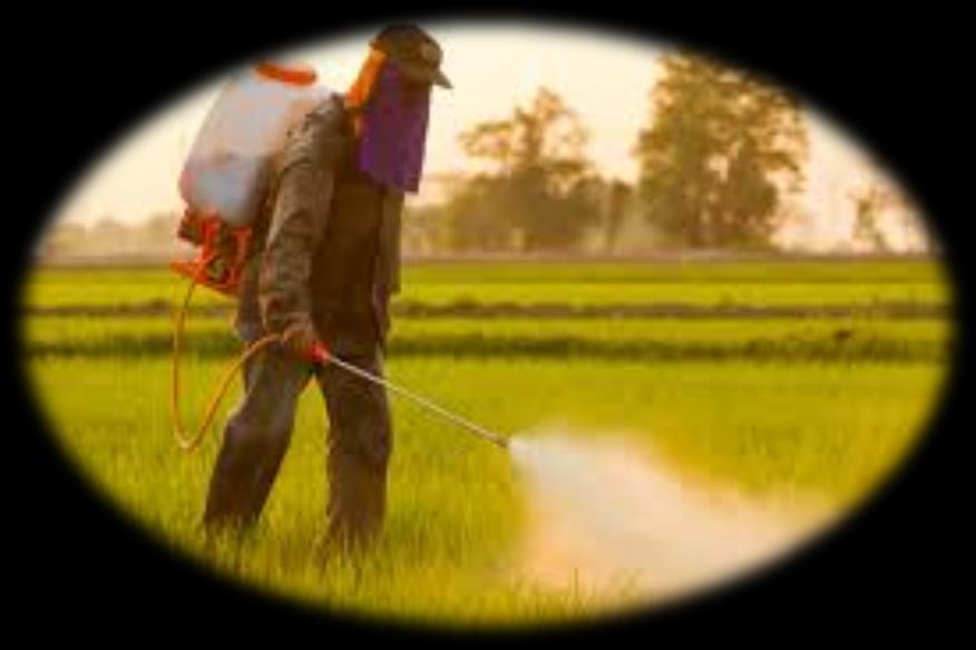 Pestisitlerin yaygın bir şekilde kullanımı sonucunda kalıntı pestisit çevreden topraksal ve akuatik gıda zincirlerine ulaşarak