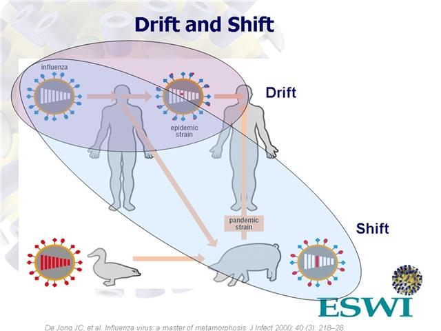 Antijenik Değişim Epidemik suş