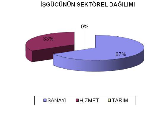 Ülkedeki endüstriyel kuruluşlarının %38'i, ticari işletmelerin %55'i İstanbul'da bulunmakta olup, vergi gelirlerinin %40'ı bu şehirden sağlanmaktadır.