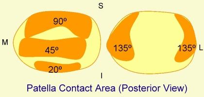 Patellar