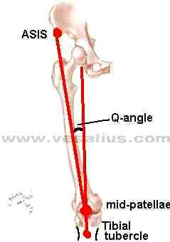 Q (Quadriceps) açısı: Quadricepsin çekme açısıdır.