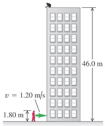 Alıştırma... SORU:. Fizik binasının damında, yerden 46 m yüksektesiniz. Fizik hocanız binanın yanında sabit 1,2 m/s süratle yürümektedir, boyu 1,80 m dir.